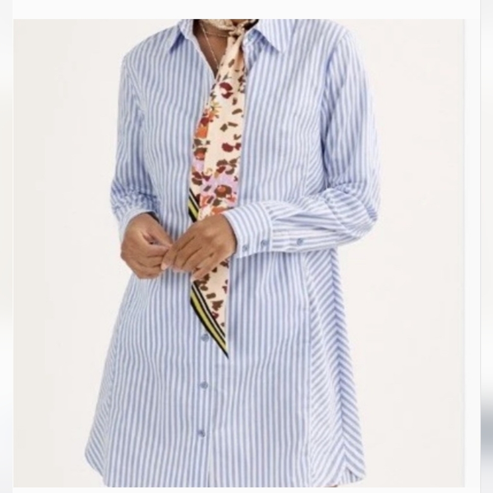 CAbi Shirtdress